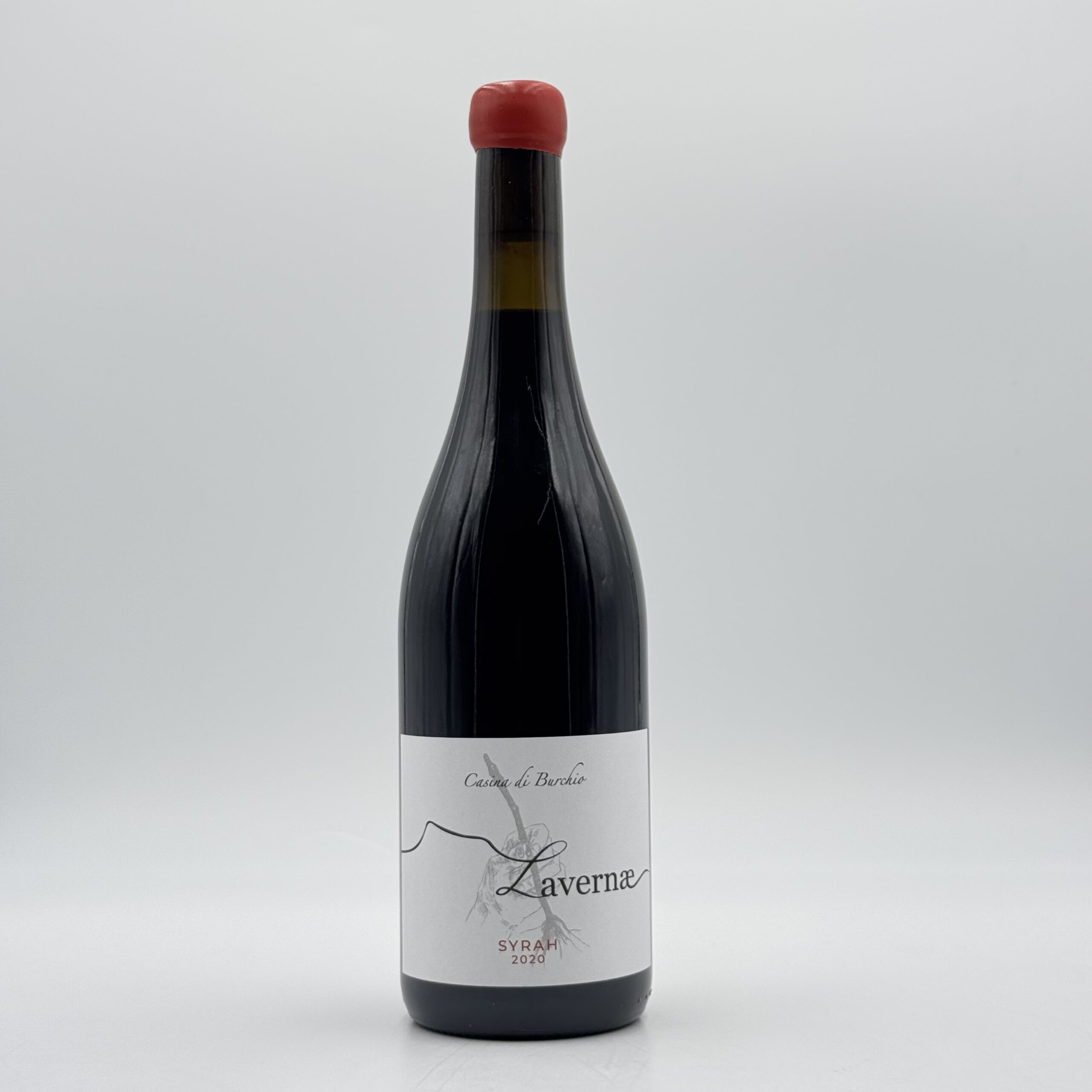 Syrah Lavernae 2020 - Casina di Burchio